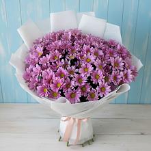 Букет цветов из:  Хризантемы #REPLACE_PRED# Андрюках