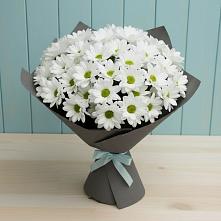 Букет белые хризантемы #REPLACE_PRED# Андрюках Букет цветов из:  Хризантемы #REPLACE_PRED# Андрюках