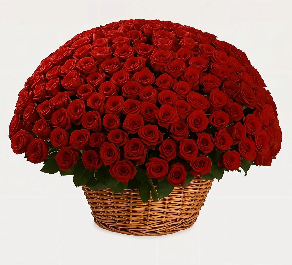 251 Премиум красная роза в Андрюках Премиум букет из: Розы в Андрюках