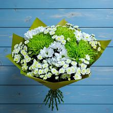 Букет скромность  в Андрюках Букет цветов из:  Хризантемы в Андрюках